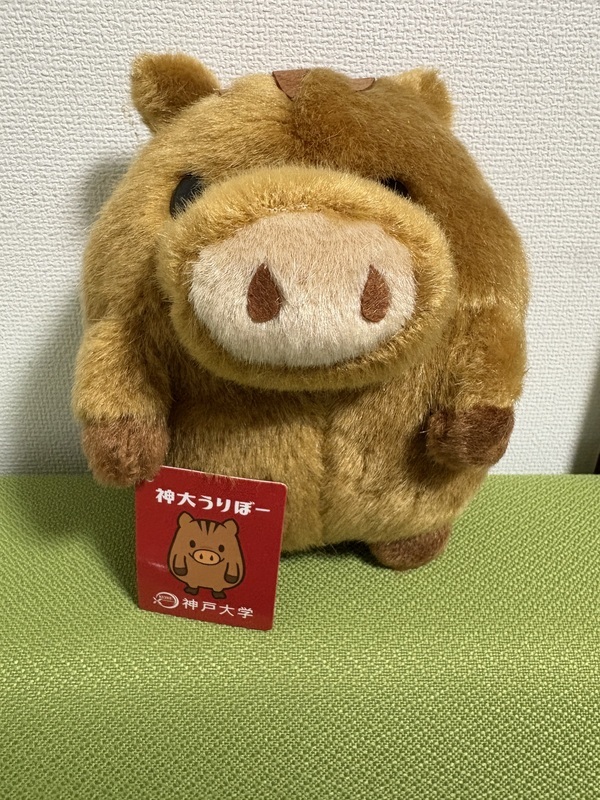 IMG_5437_コピー
